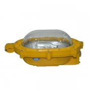 BFE8120內(nèi)場防爆應急燈
