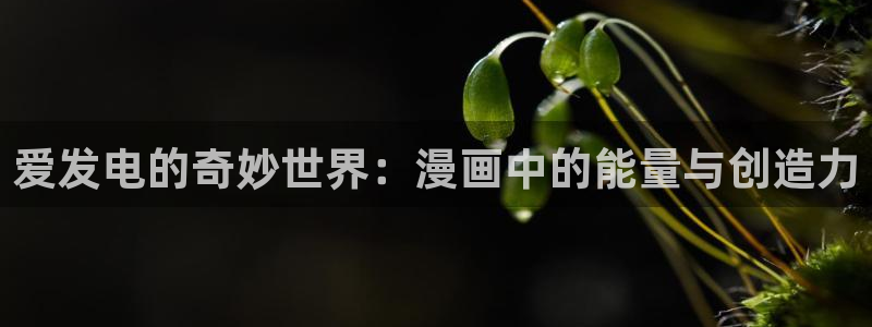 下载奇漫屋