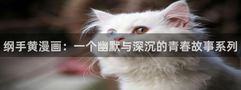 奇漫屋免费漫画在线观看