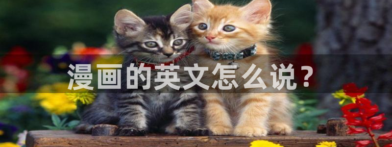 奇漫屋漫画下拉式奇漫屋漫画免费