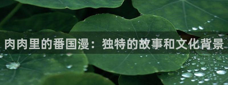 超凡传漫画免费下拉式奇漫屋