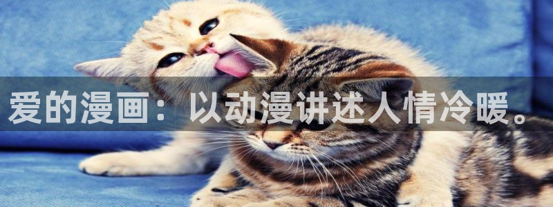尊上漫画下拉式奇漫屋