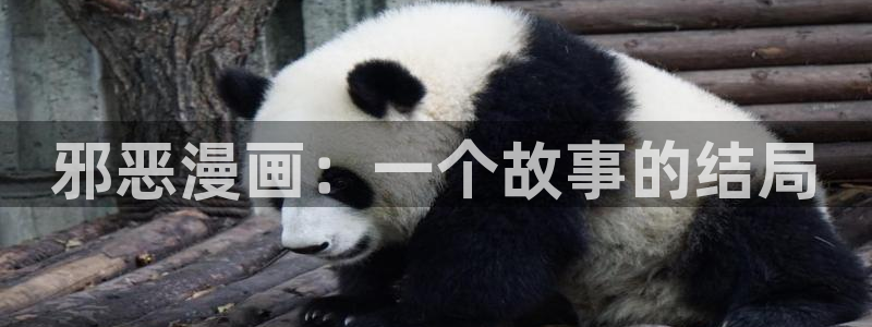 间谍过家家漫画下拉式奇漫屋