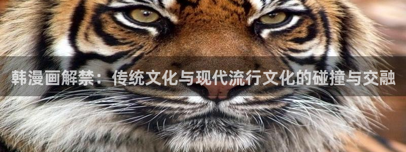漫画(下拉式)奇漫屋入口
