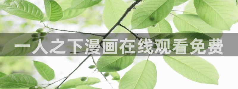 似锦漫画免费下拉式奇漫屋