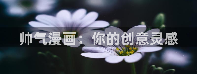 奇漫屋app：帅气漫画：你的创意灵感