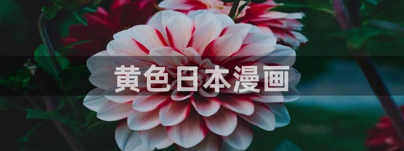 脱缰奇漫屋下拉式(免费漫画)