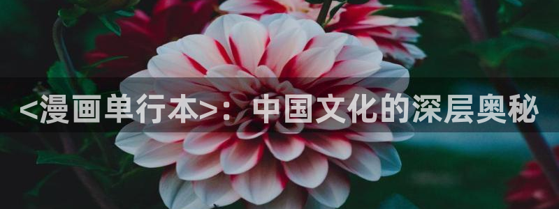 似锦漫画下拉式奇漫屋