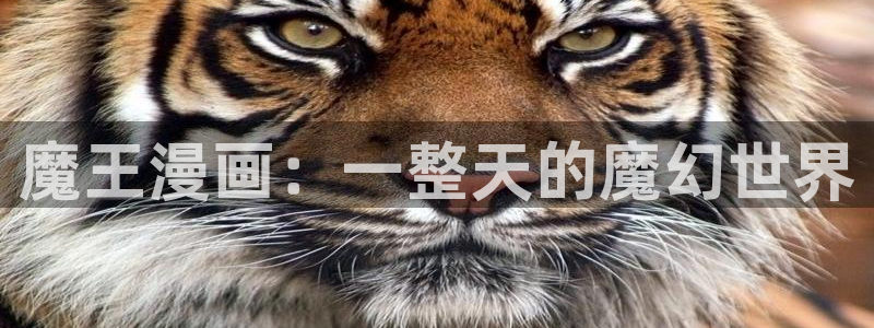 大公阁下漫画(下拉式)奇漫屋